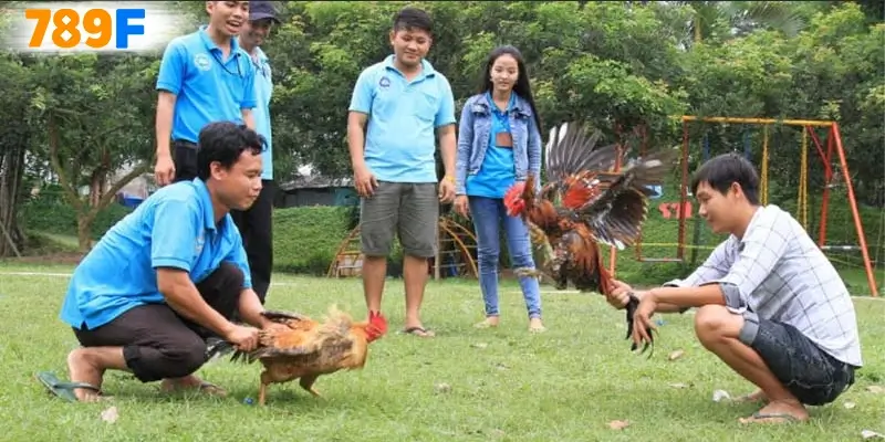 Những điều cần lưu ý 