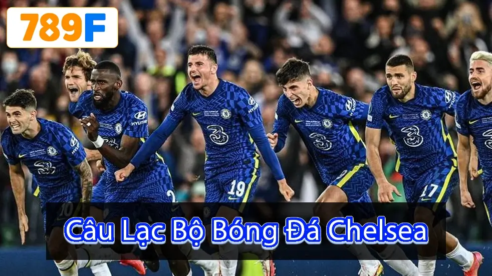 Câu Lạc Bộ Bóng Đá Chelsea – Cùng 789F Khám Phá Nào